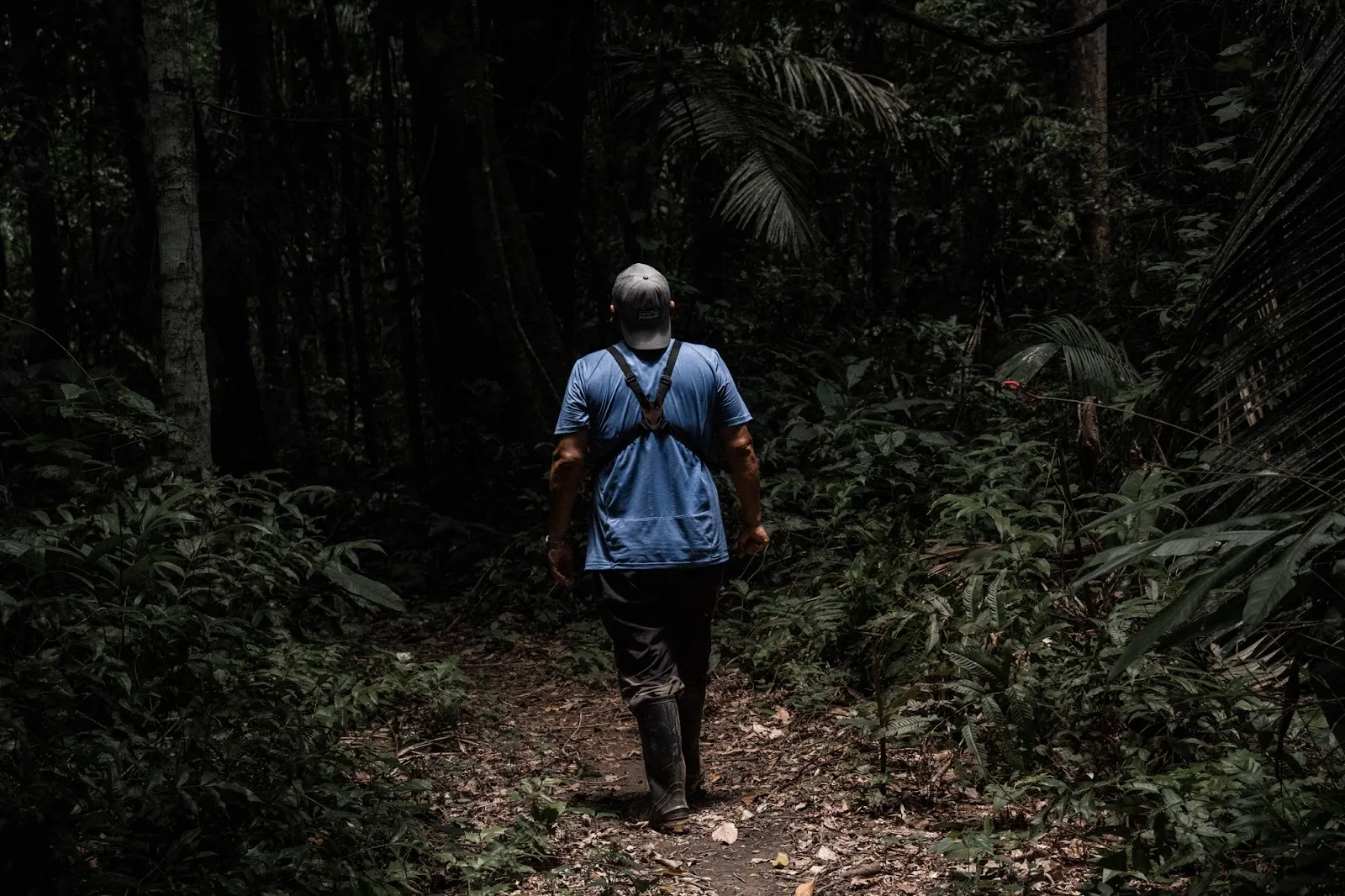 Supersized in the Jungle