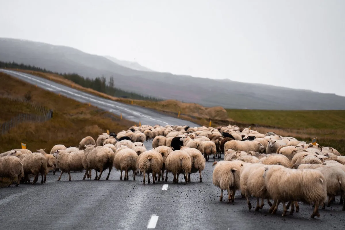 Iceland