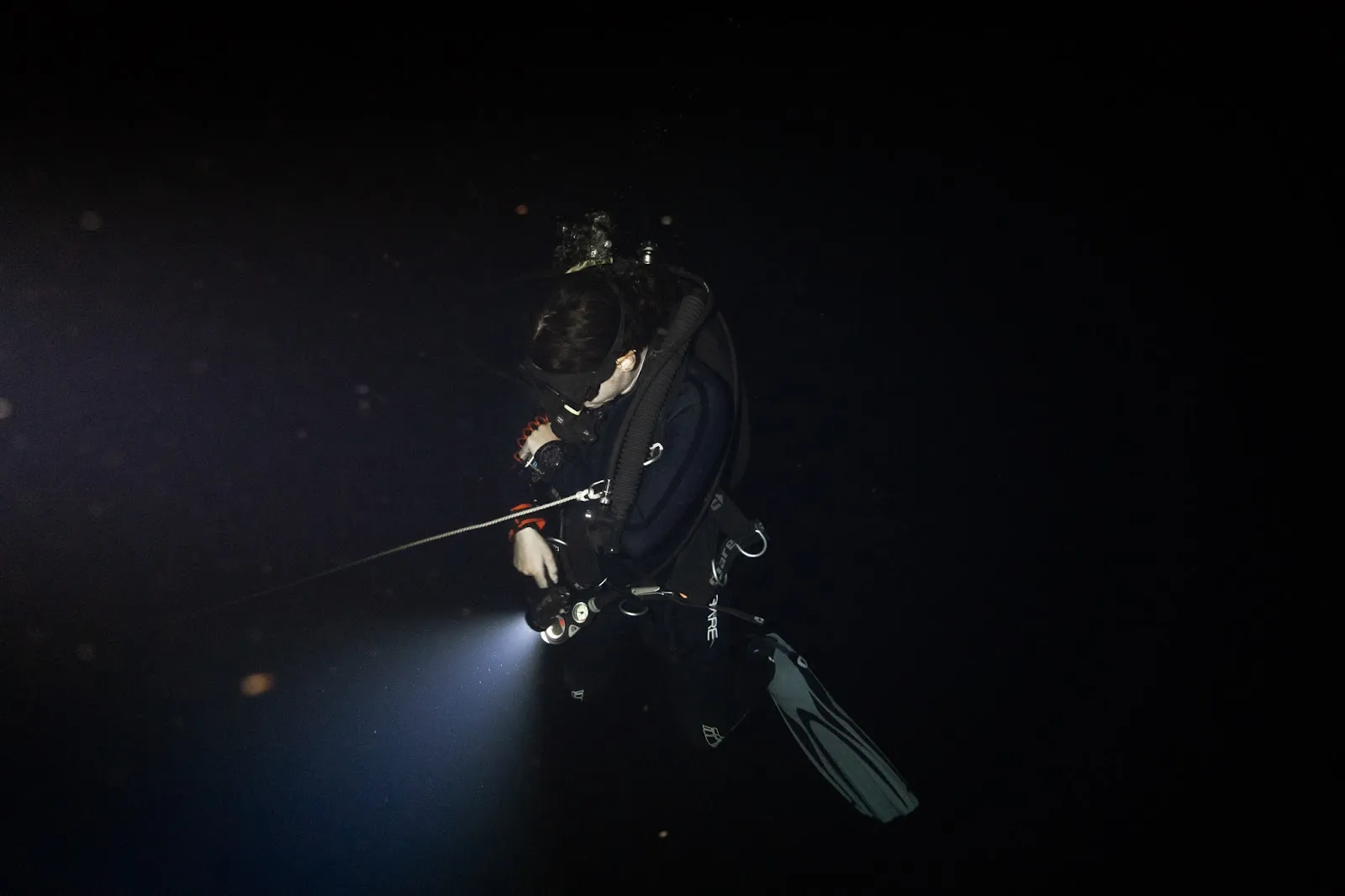 Pelagic Magic: Kona at Night