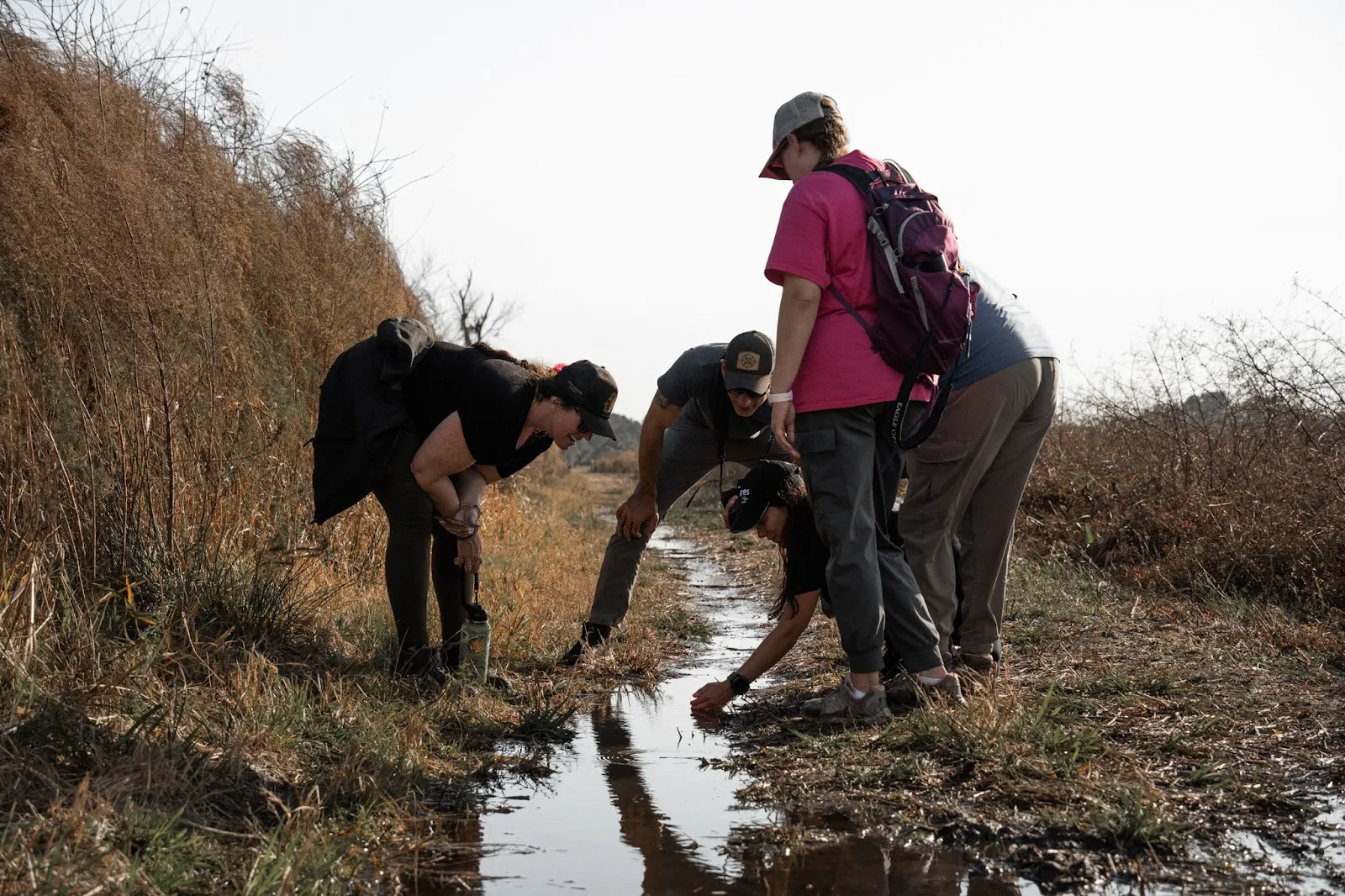 The Search for Wild Florida