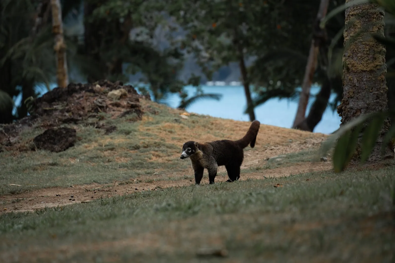 Costa Rica Unfiltered: The Underbelly of Expedition Life