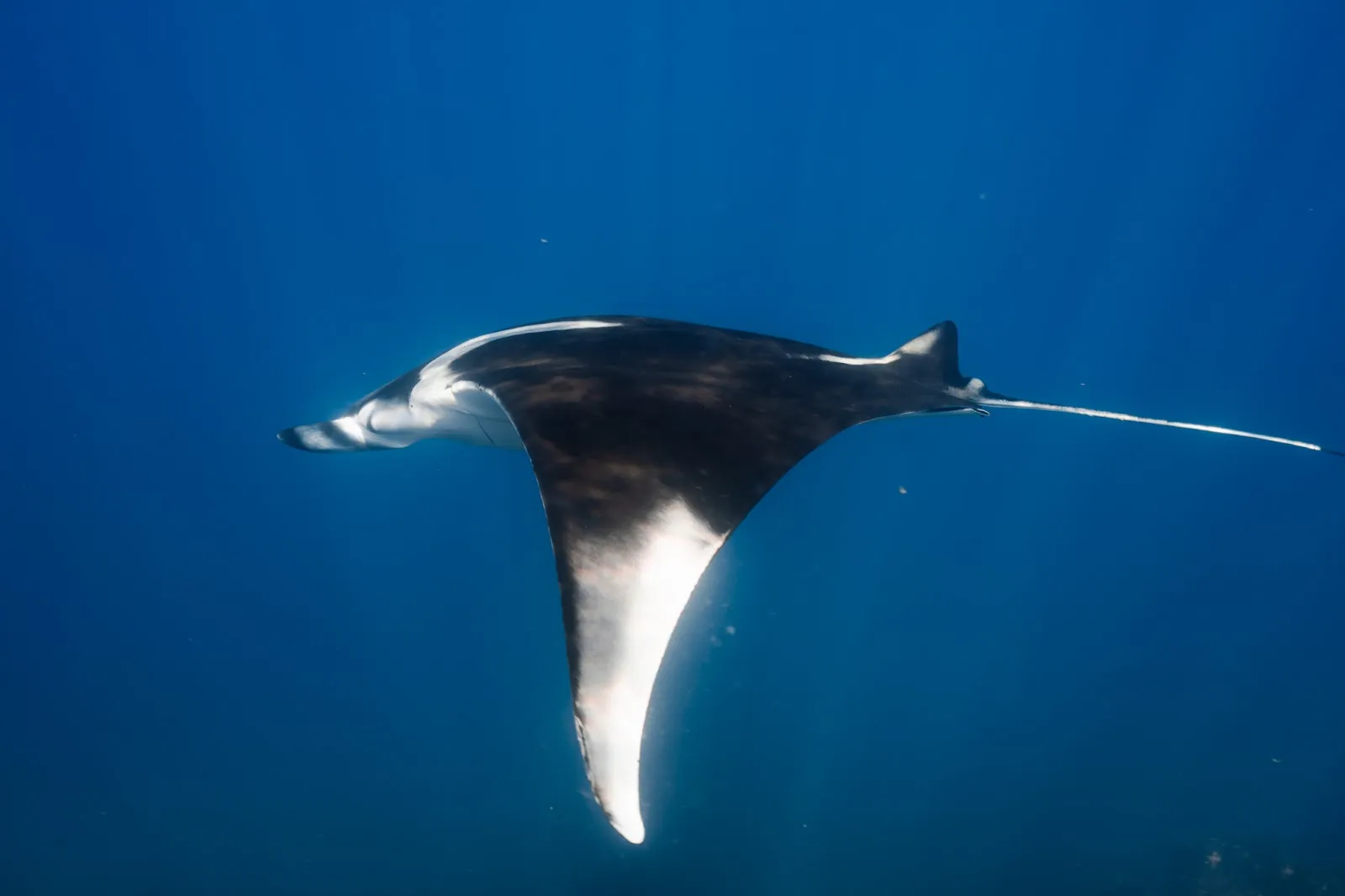 Costa Rica Unfiltered: The Underbelly of Expedition Life