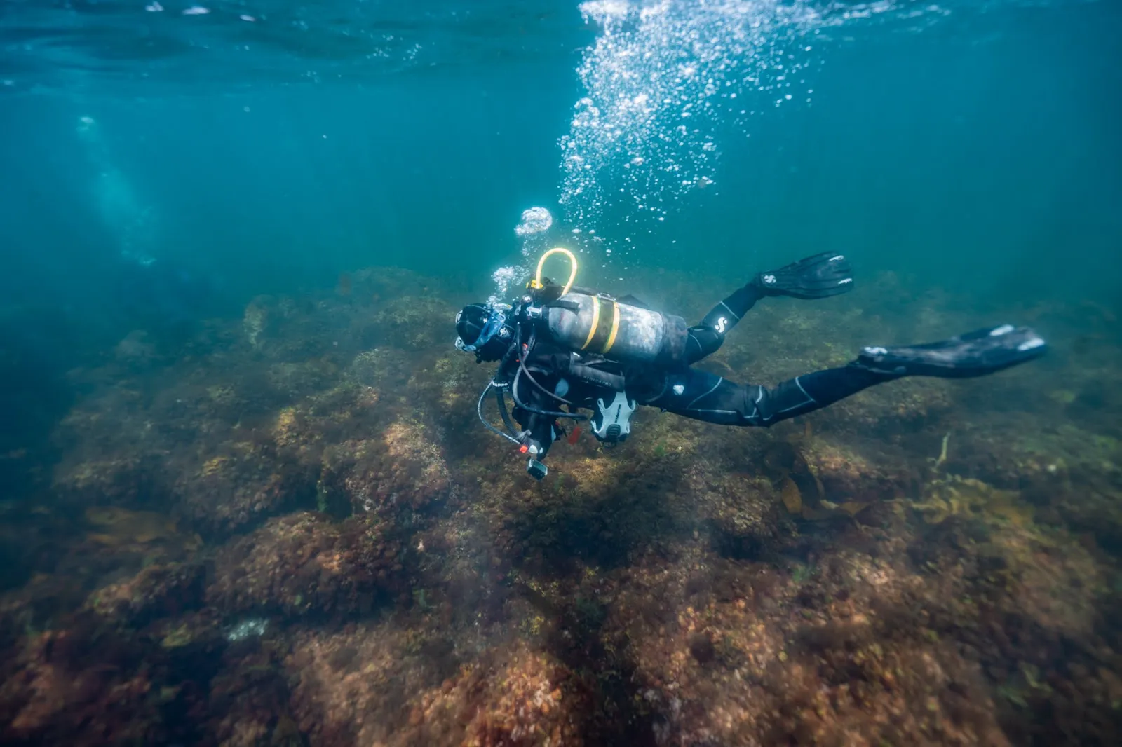 Flooding Suits and Fleeting Sharks