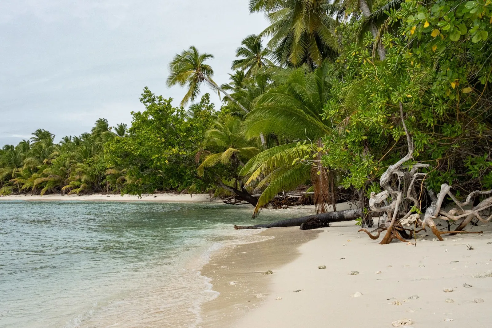 Cocos, Christmas & Crabs