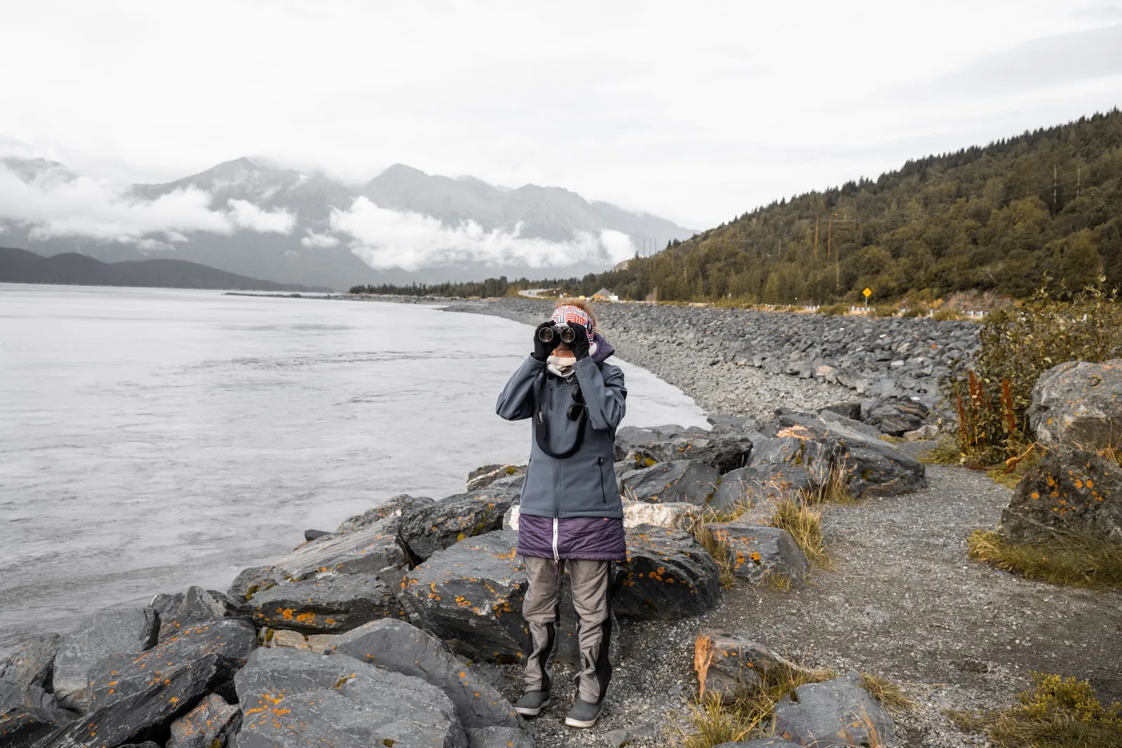 The Call of Alaska's Canaries
