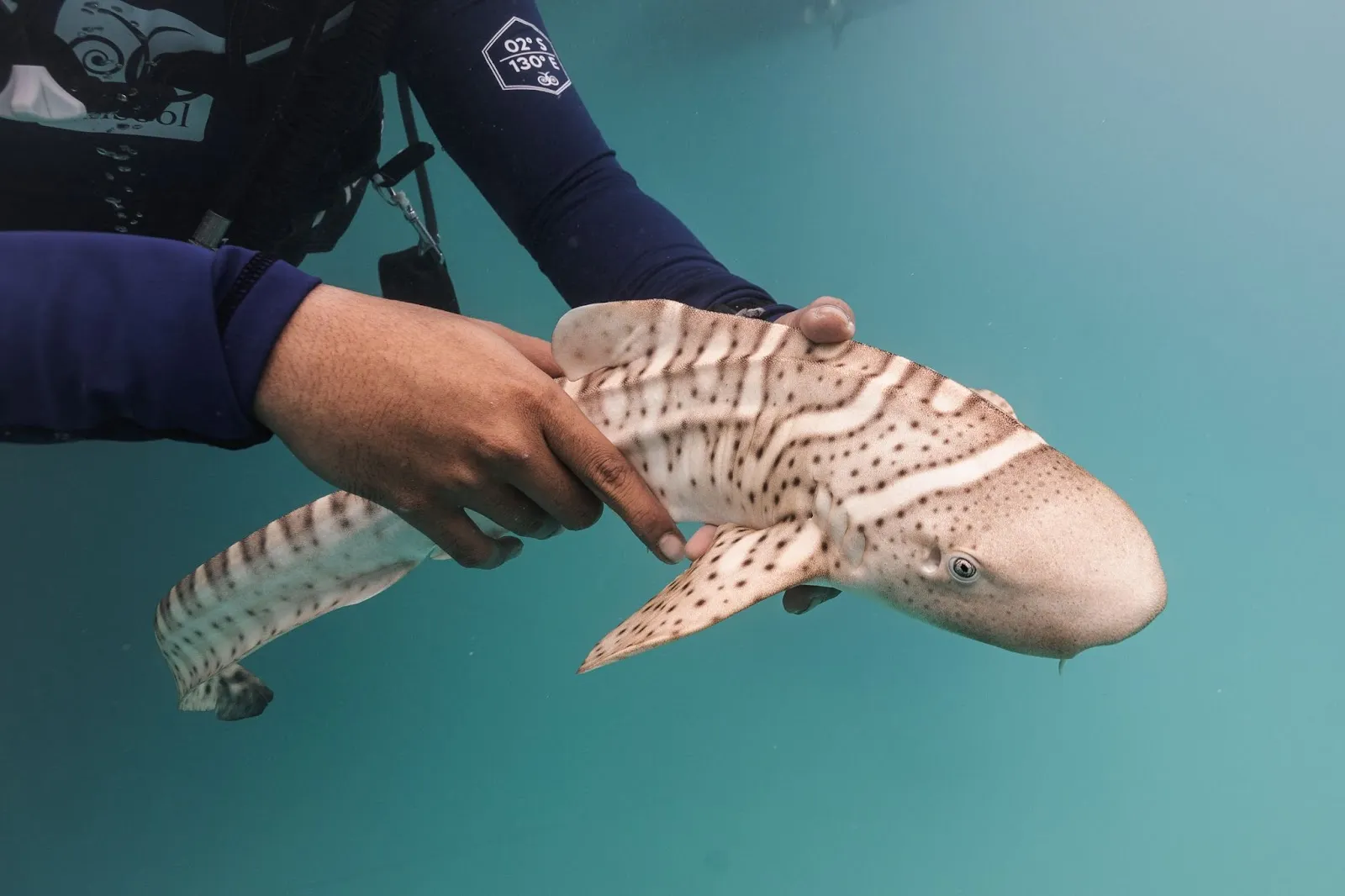 A Full Circle Journey to the Edges of Raja Ampat