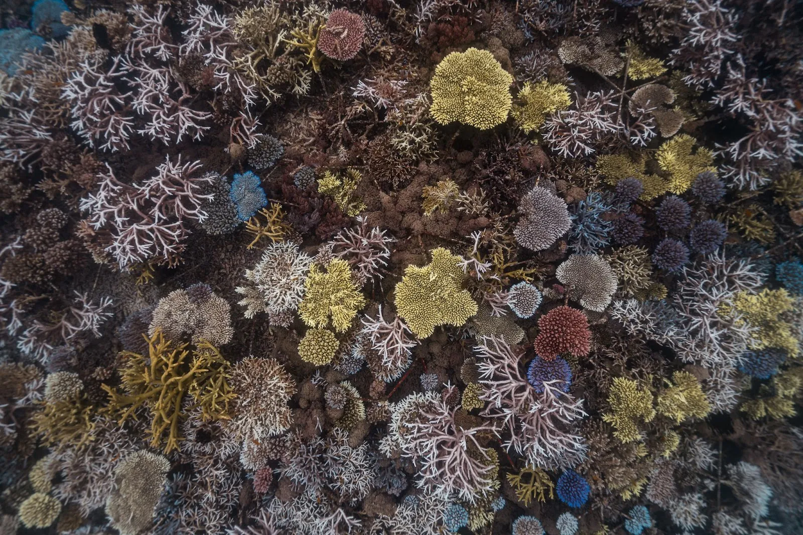 A Full Circle Journey to the Edges of Raja Ampat