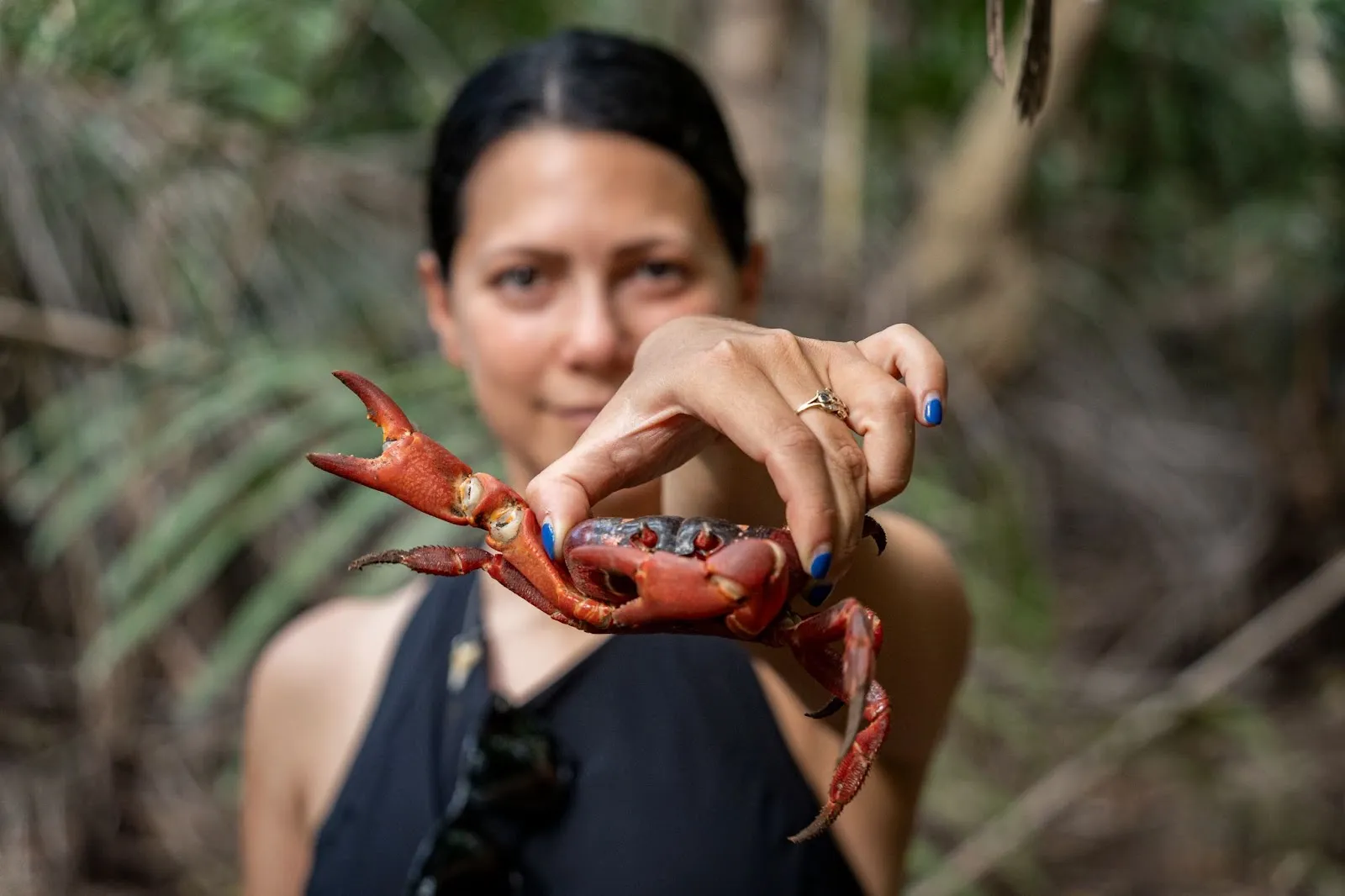 Cocos, Christmas & Crabs
