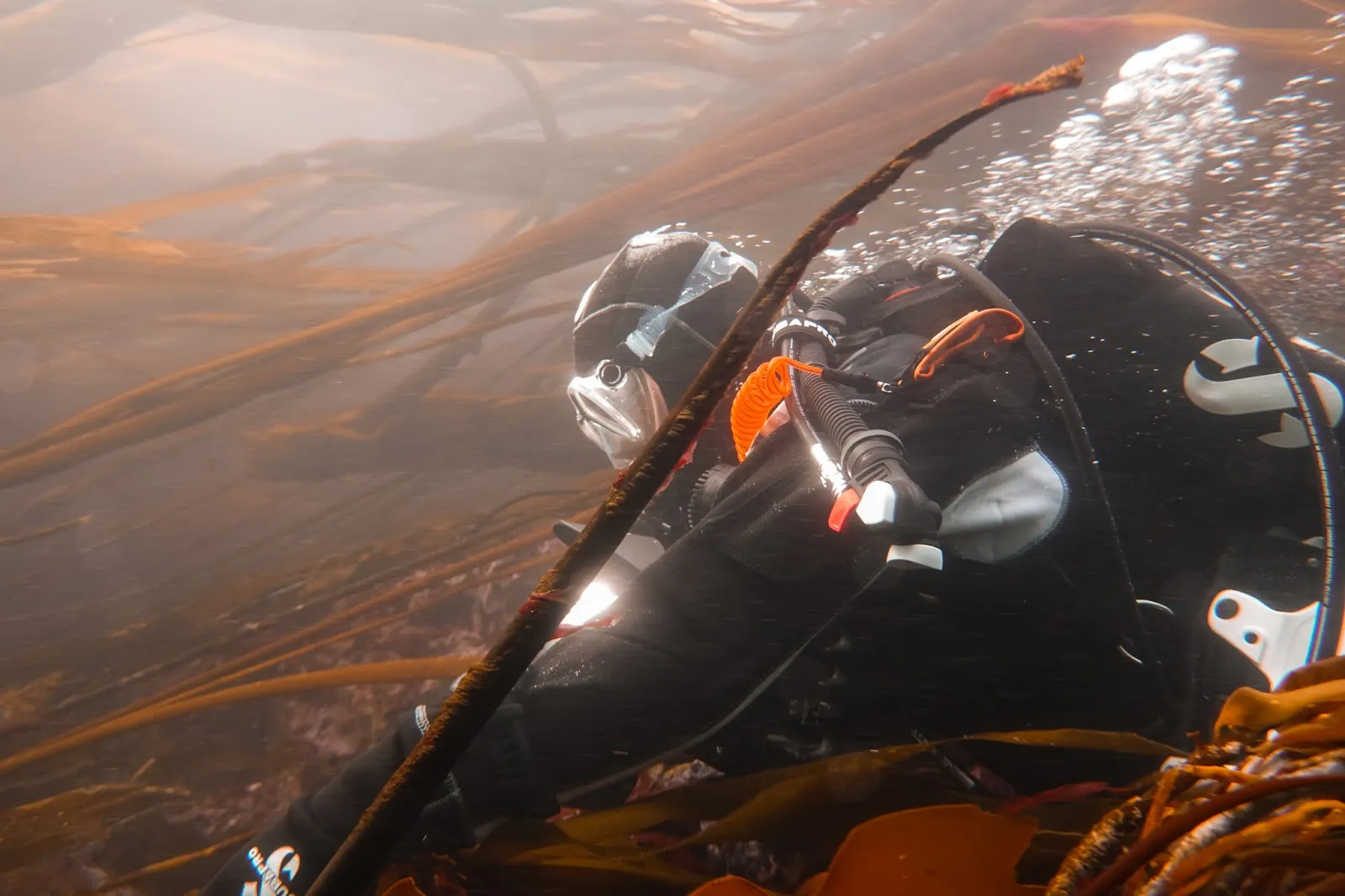 Riding the Kelp and Currents of Campbell River