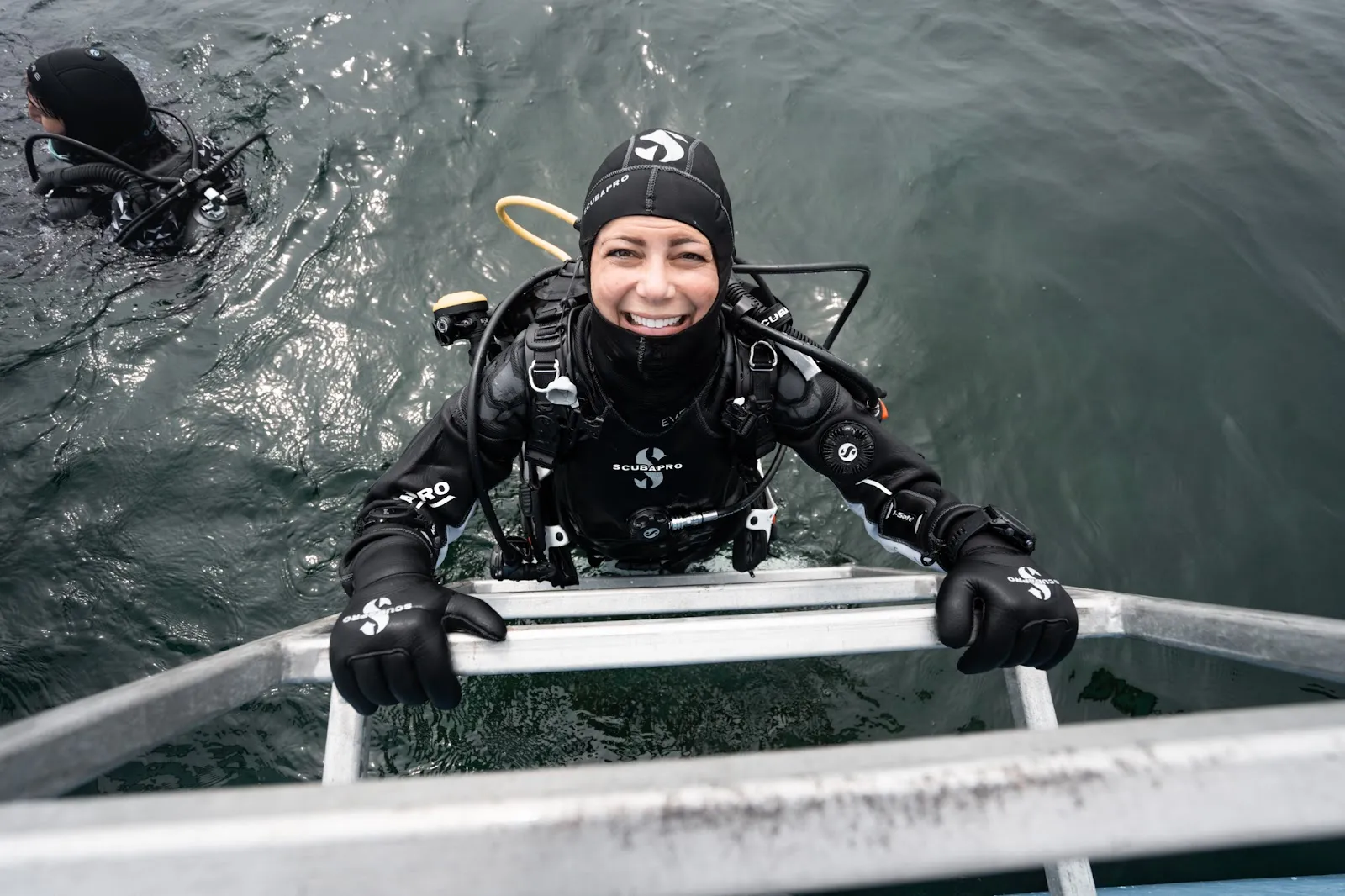 Flooding Suits and Fleeting Sharks