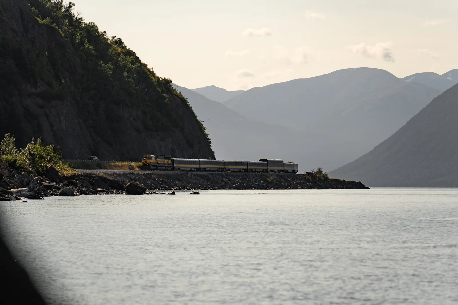The Call of Alaska's Canaries