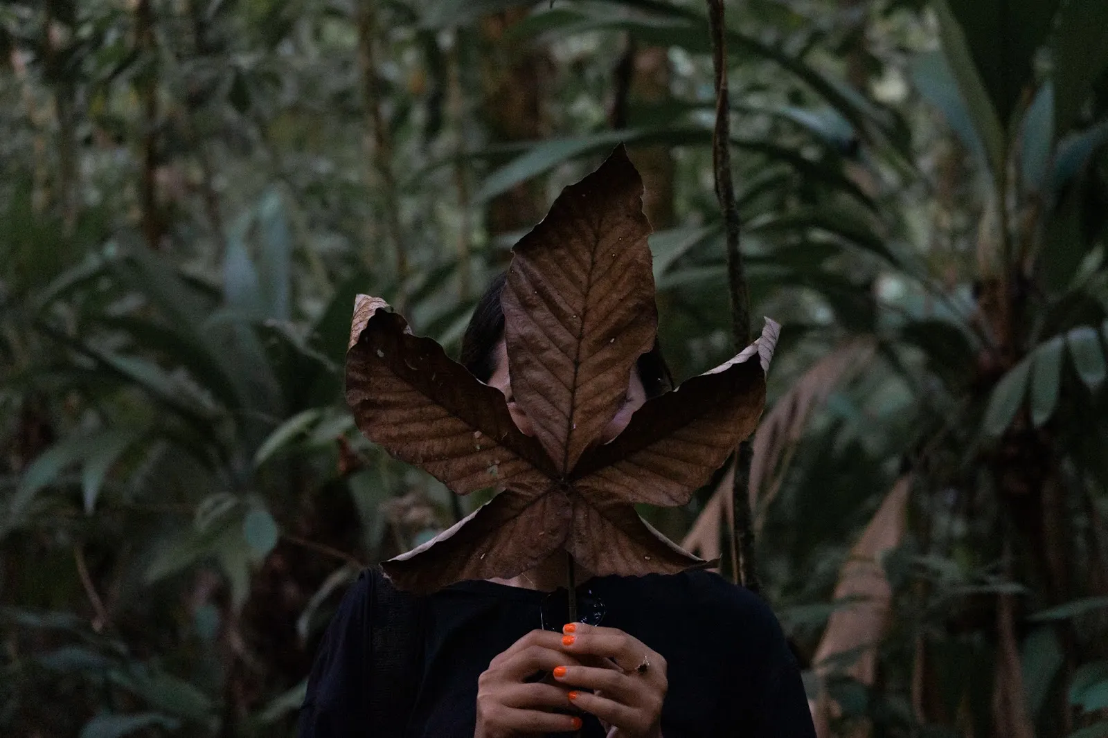 Costa Rica Unfiltered: The Underbelly of Expedition Life