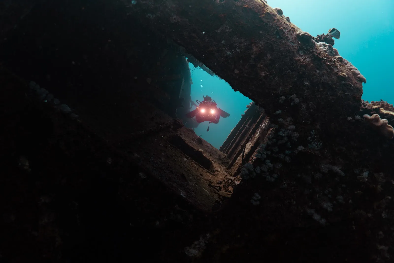 The Underwater Kingdom