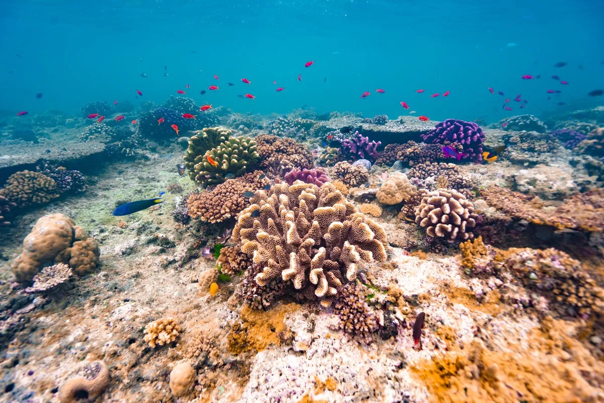 Fiji