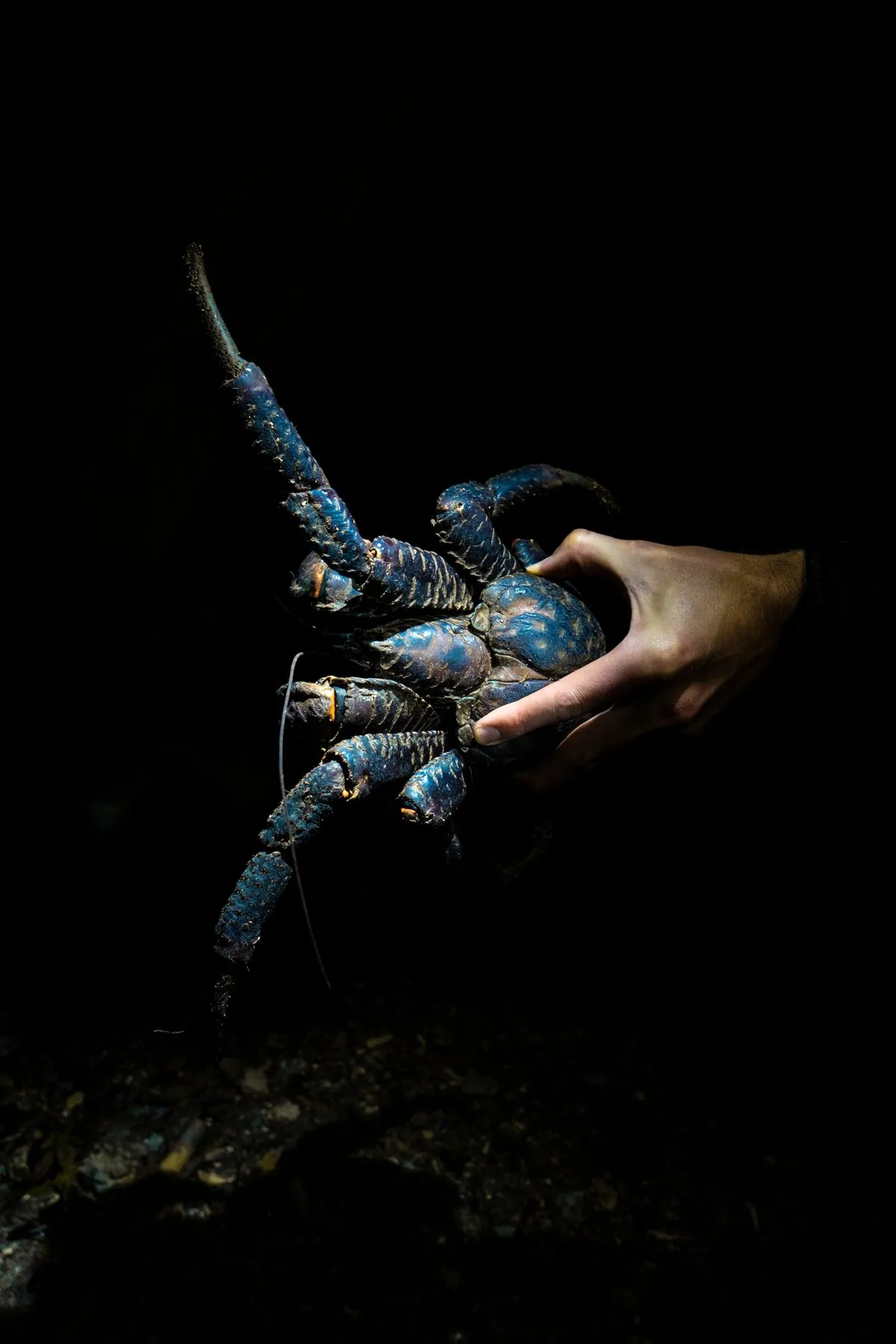Vanuatu
