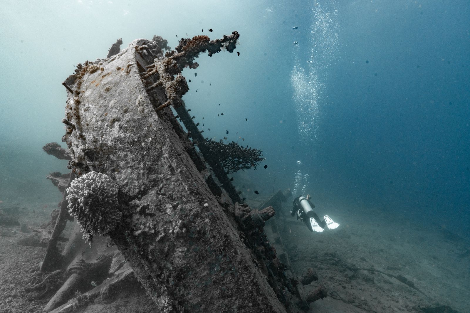 Shipwreck Hunting dive — Wrecks Worldwide