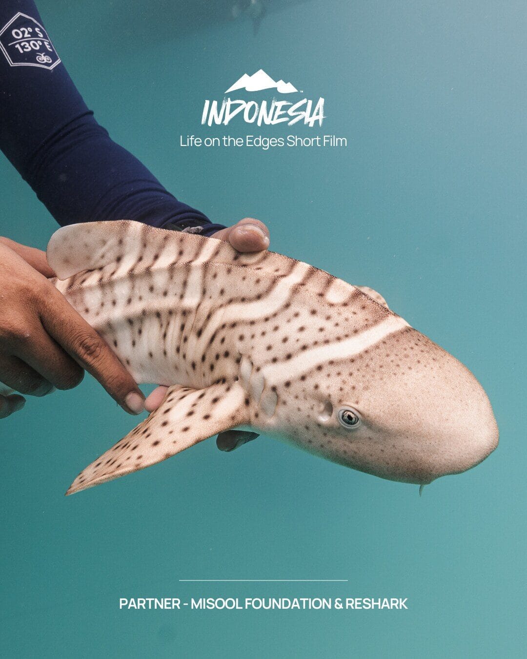 Indonesia — Life on the Edges short film — Partner: Misool Foundation & ReShark