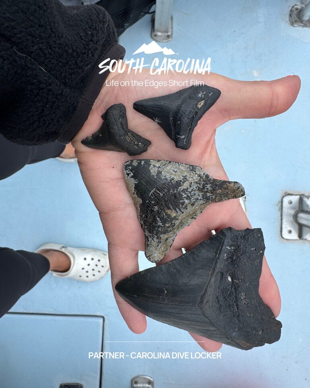 South Carolina — Life on the Edges short film — Partner: Carolina Dive Locker
