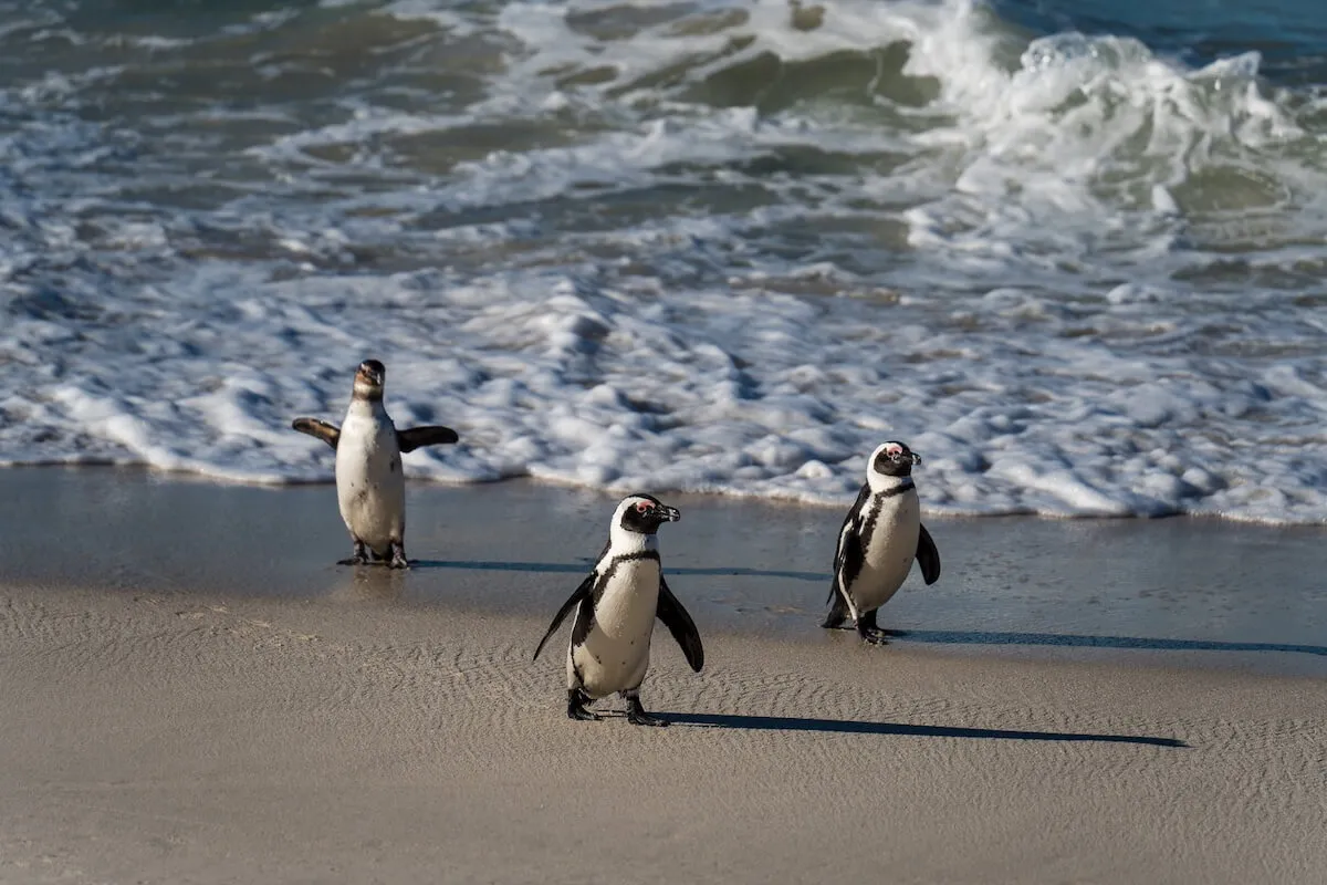 South Africa