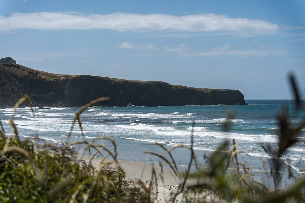 Dunedin