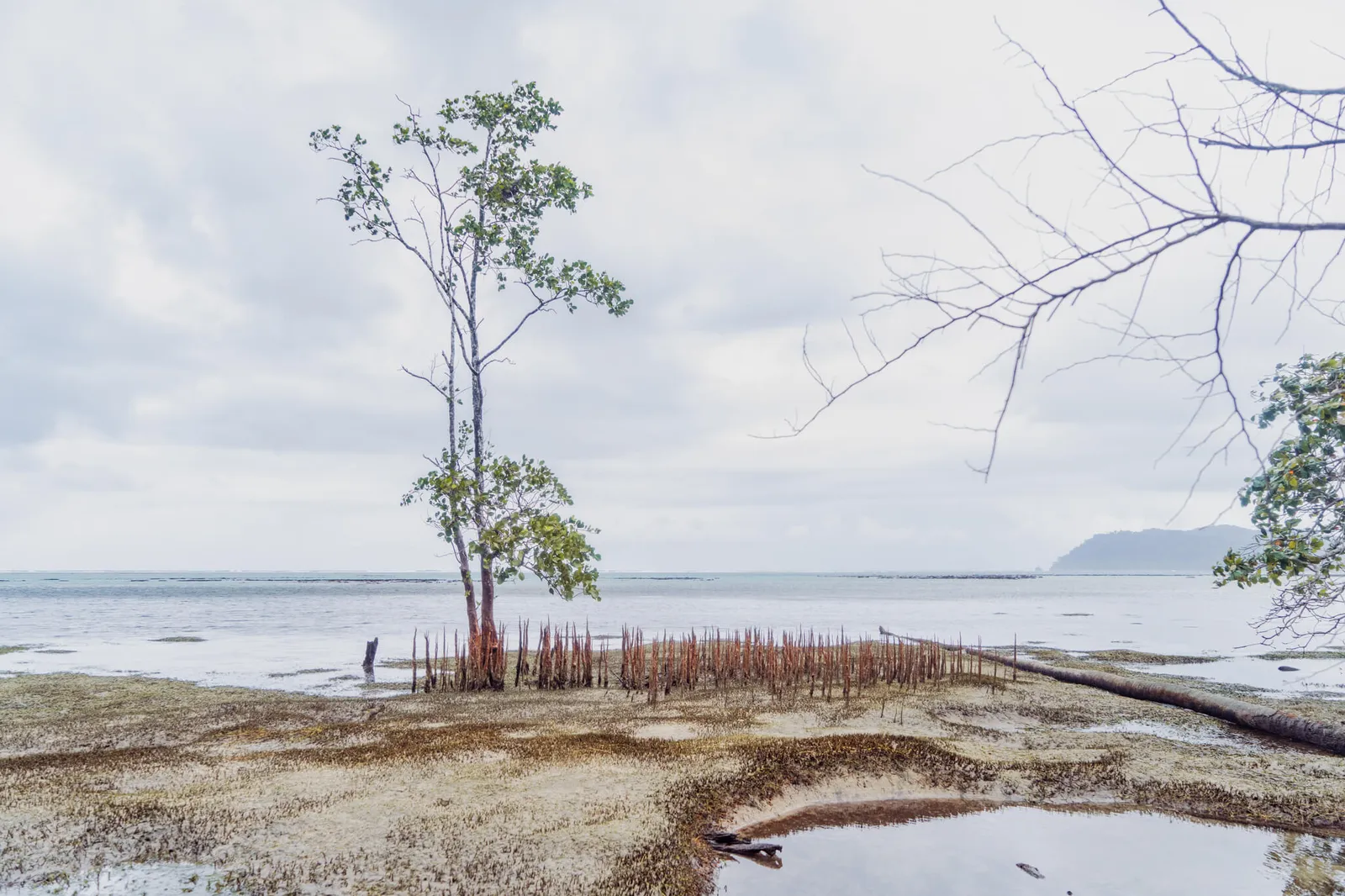 Solomon Islands