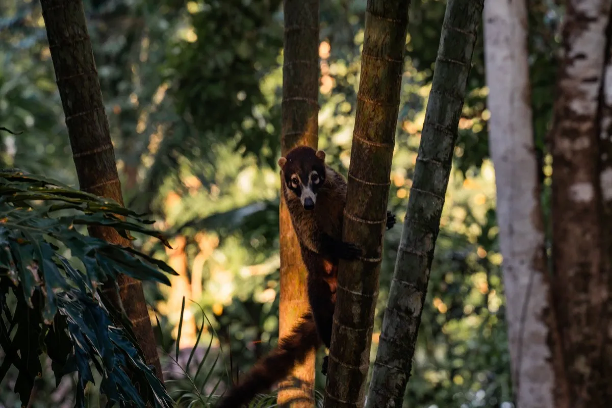 Costa Rica