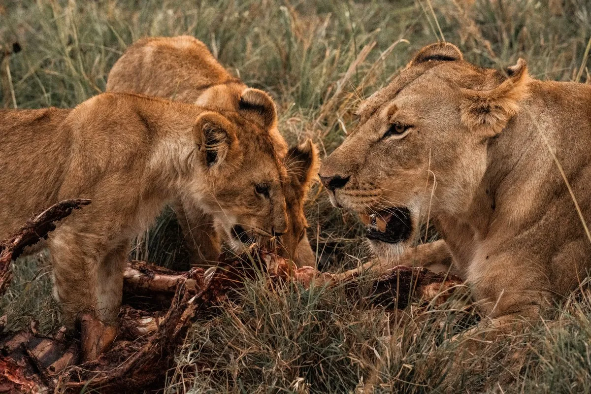 Kenya