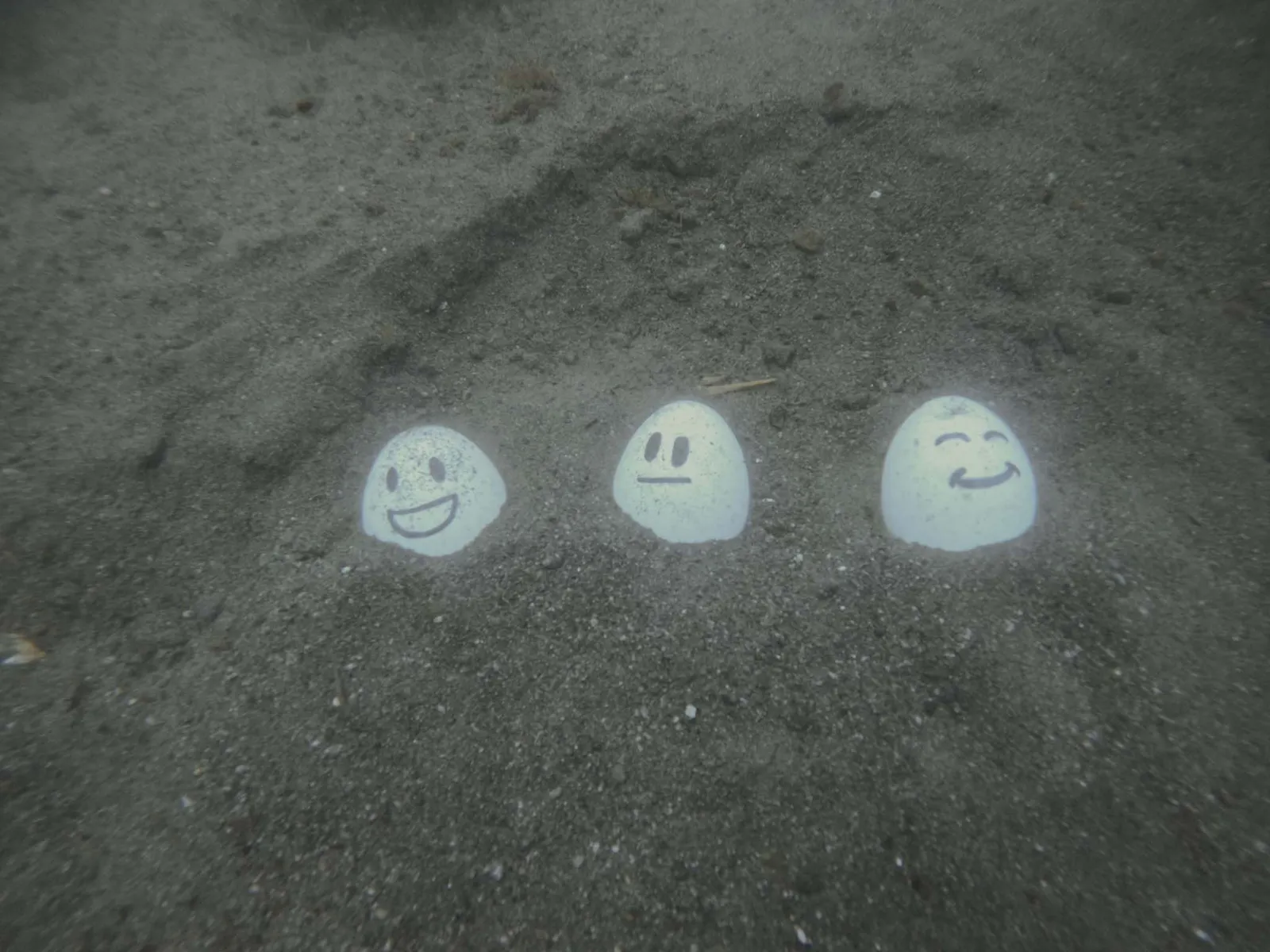The Quest to Boil Eggs