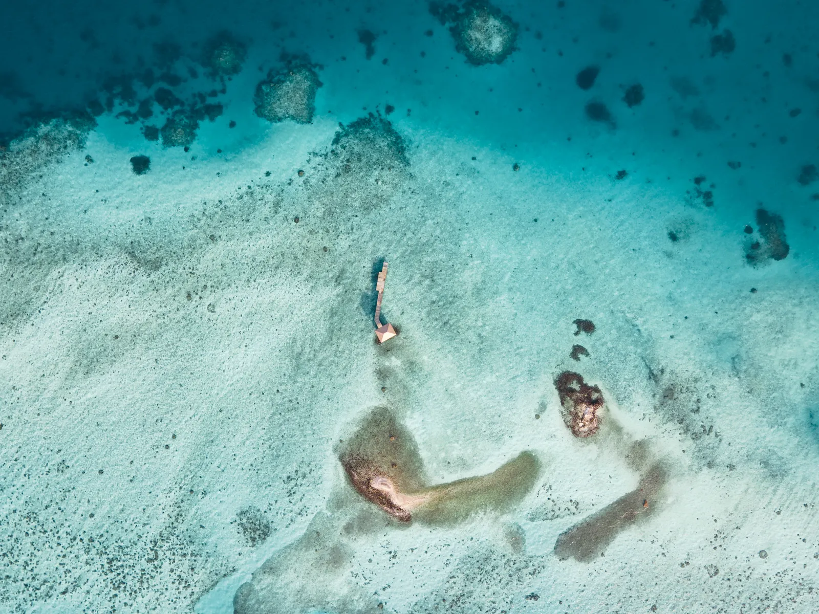 Revelations in Raa Atoll