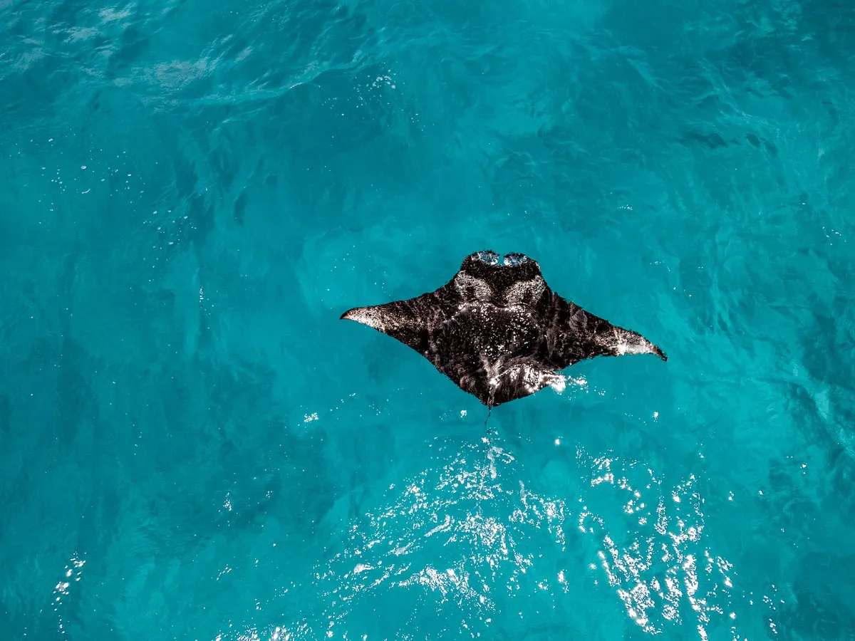 Maldives