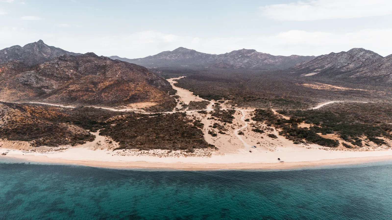The Case of Cabo Pulmo