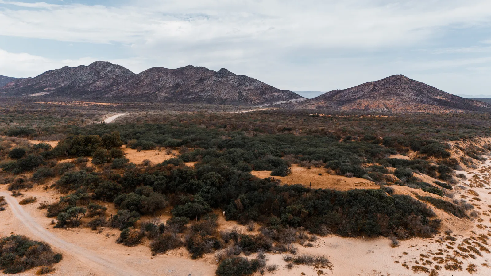 The Case of Cabo Pulmo