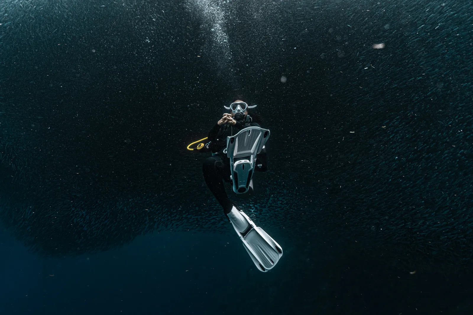 Beneath the Sardine Sky