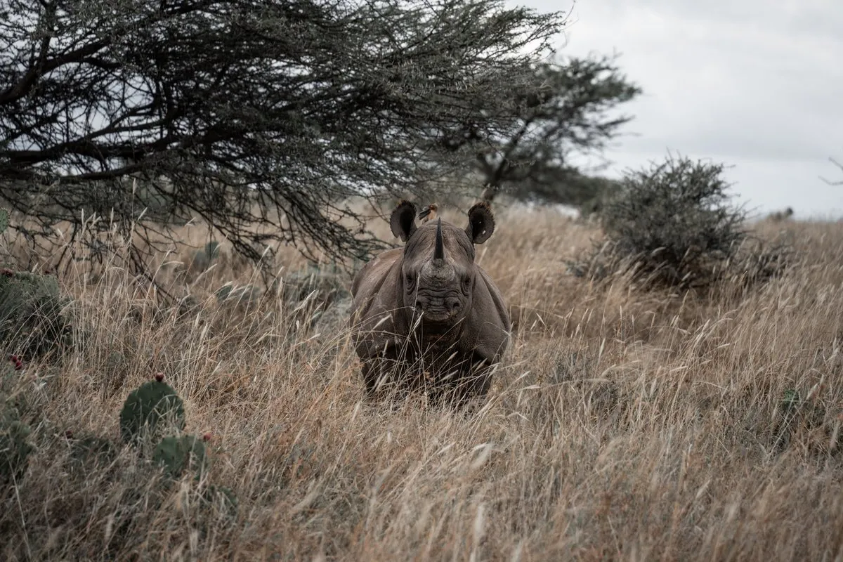 Kenya