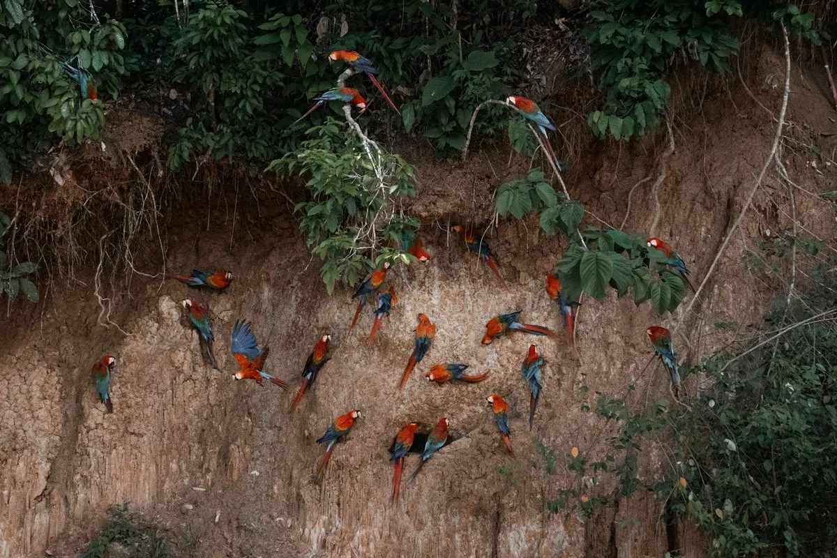 Peru