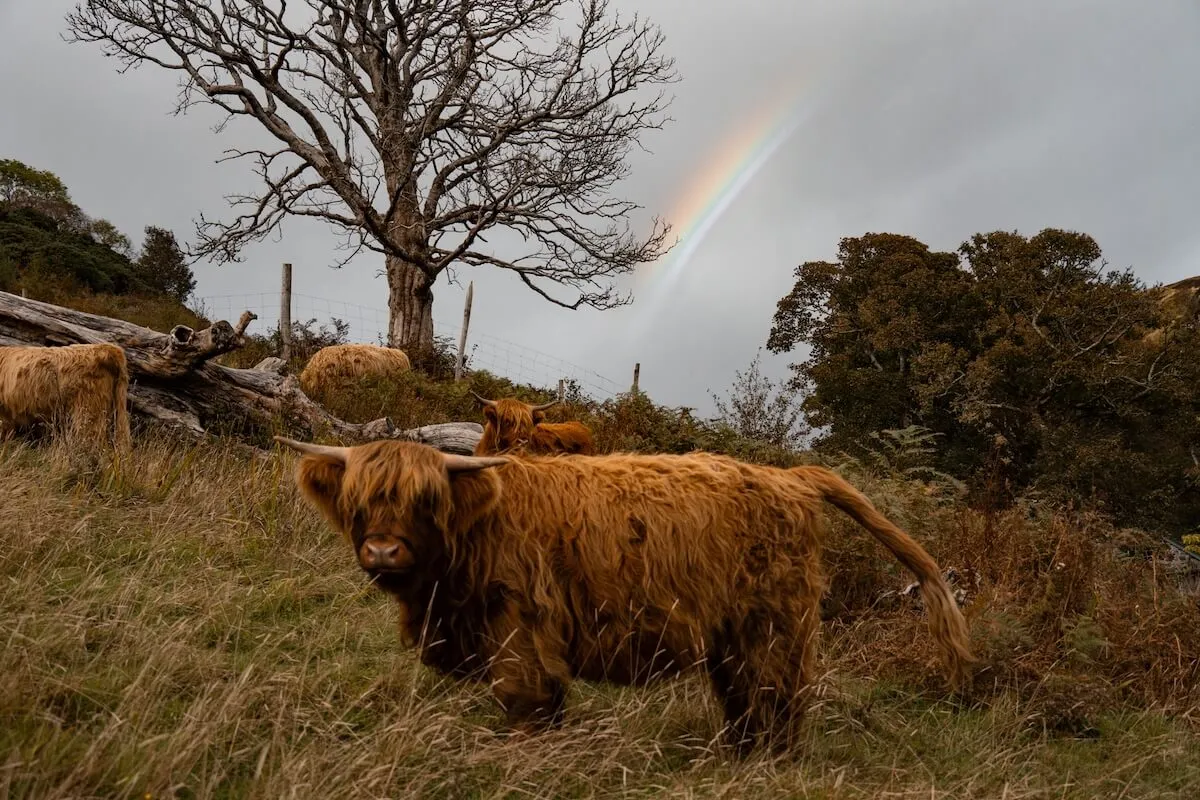 Scotland