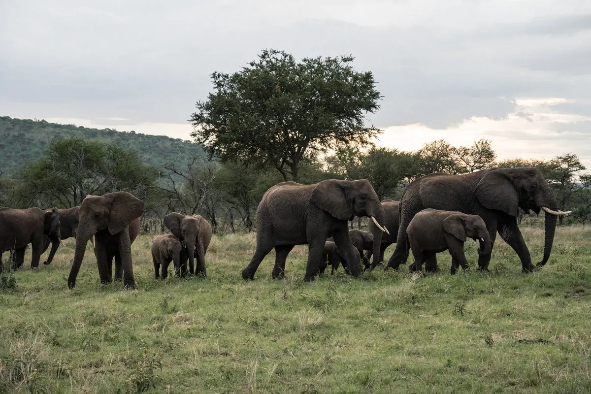 Tanzania