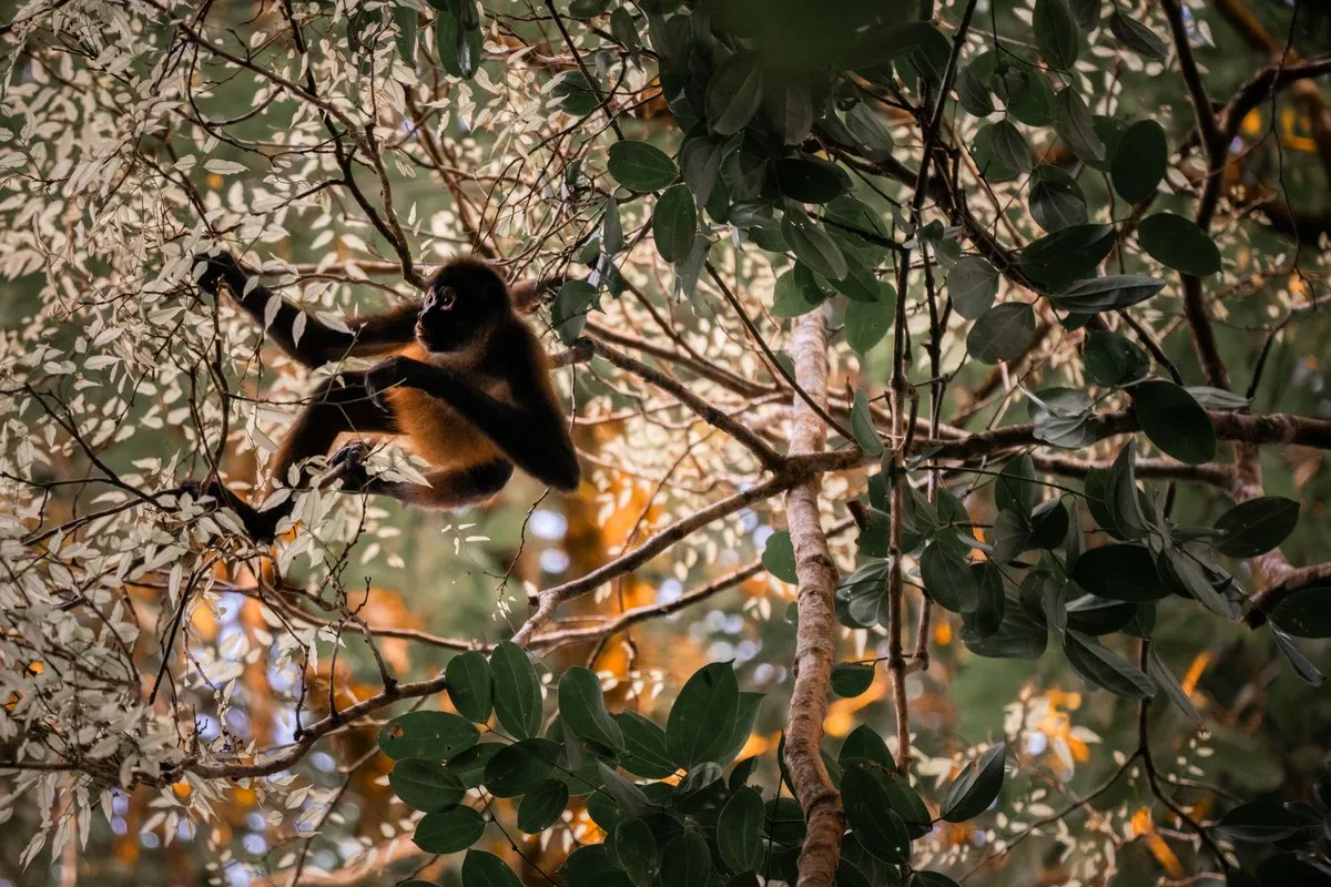 Costa Rica