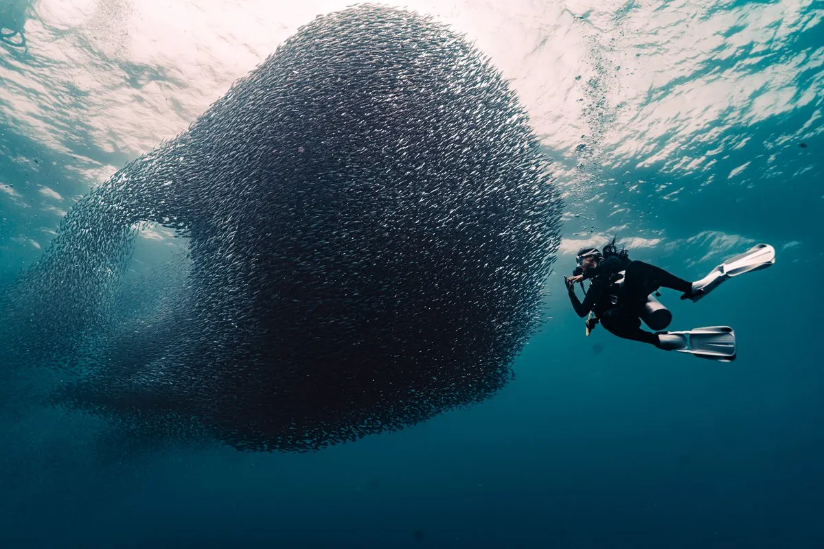Philippines