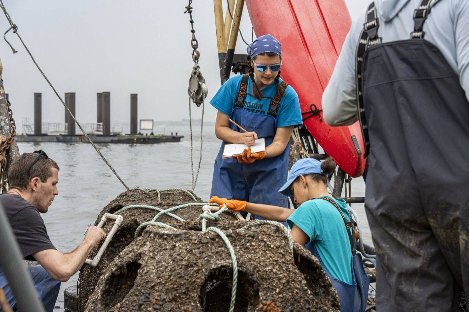 Muck & Low Viz dive — Blackwater & Muck
