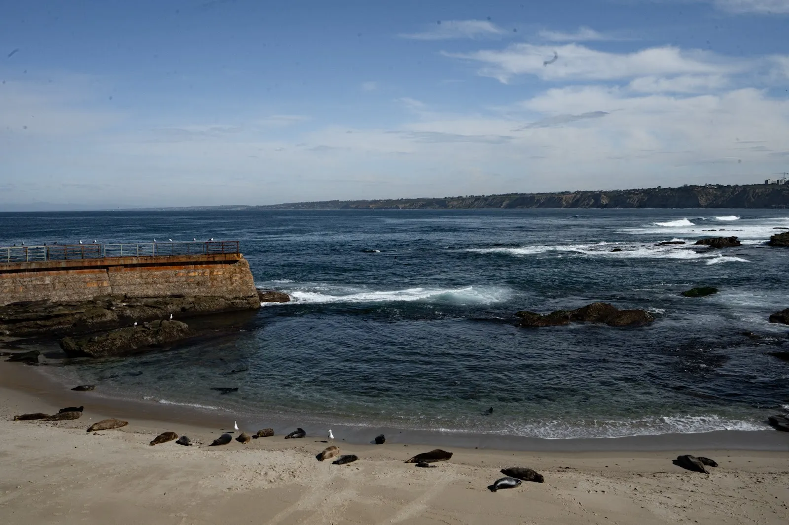 From Social Media to the Sea