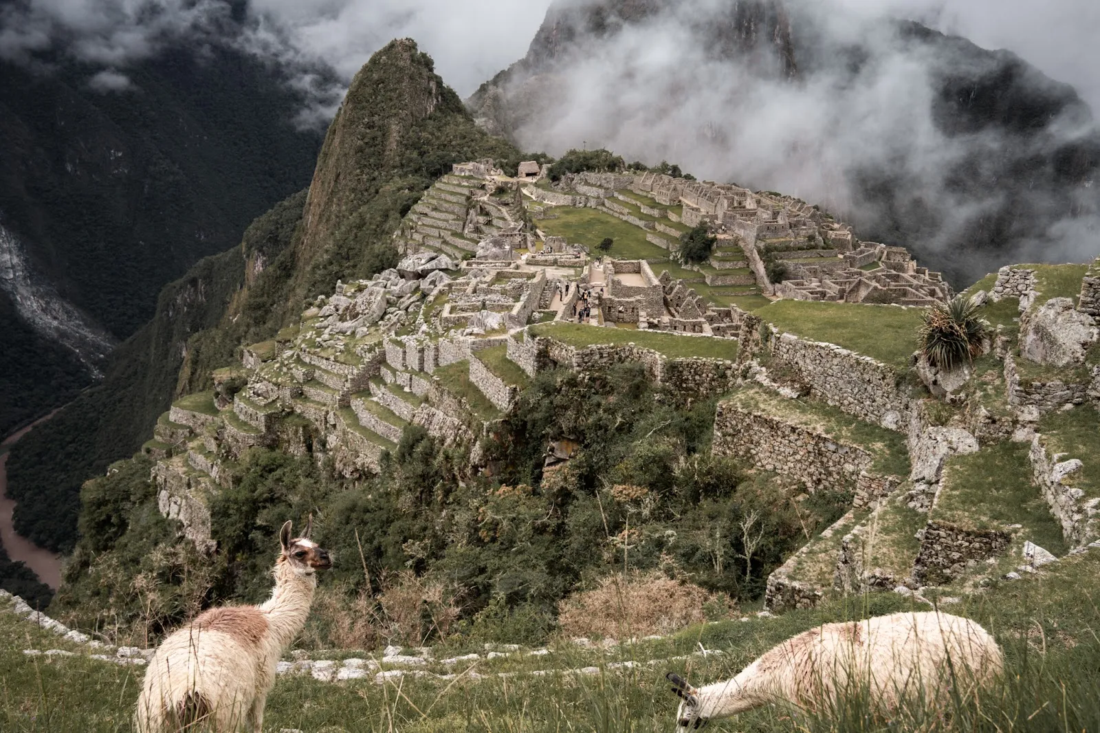 (Mis)Adventures in the Andes