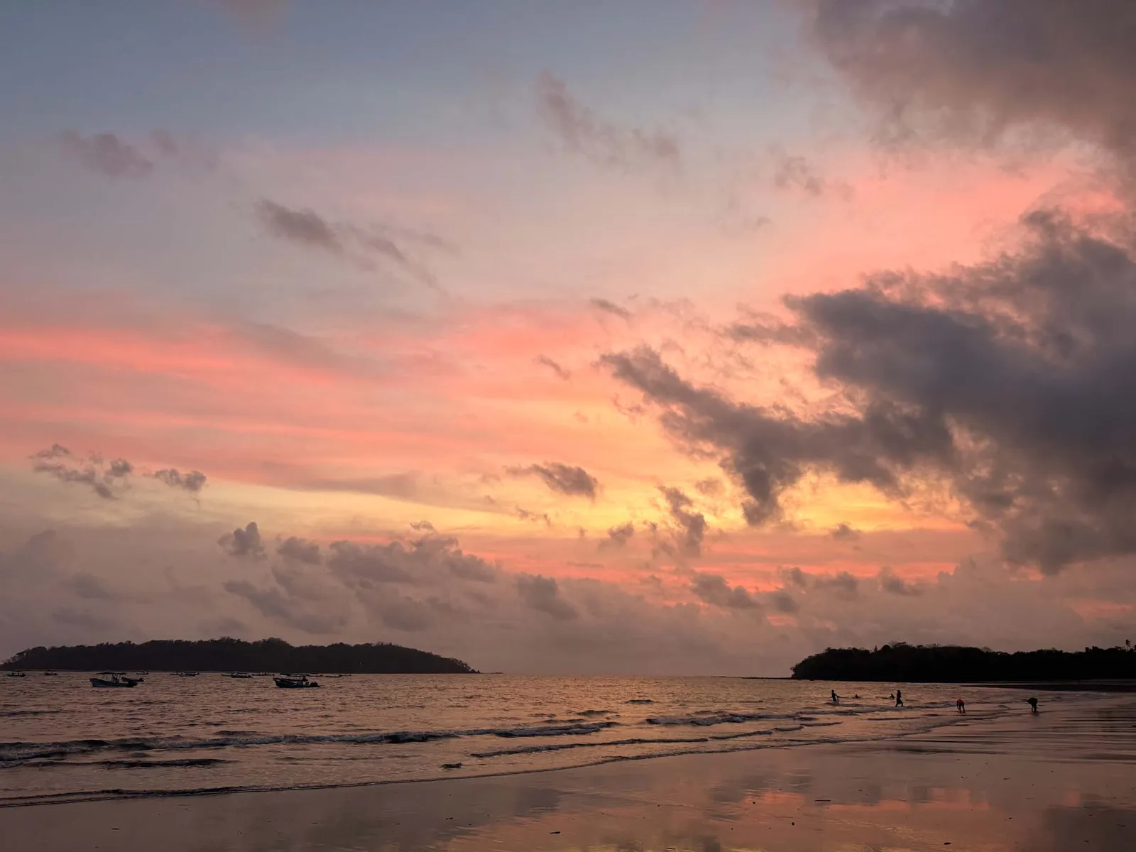 In the Cold Coiba