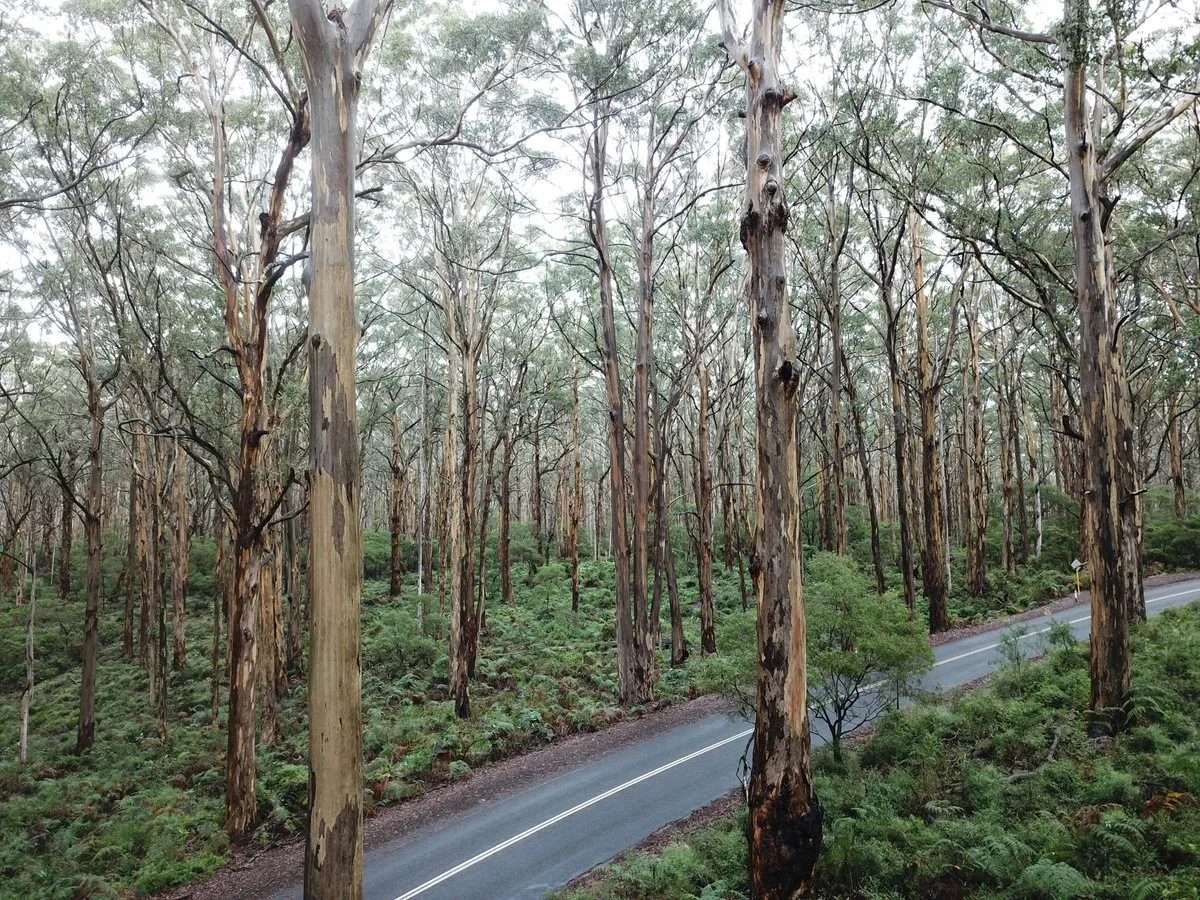 Australia
