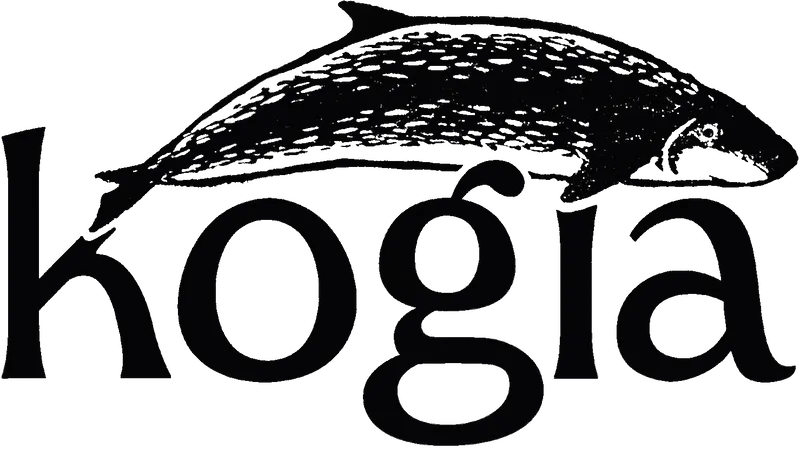 Kogia