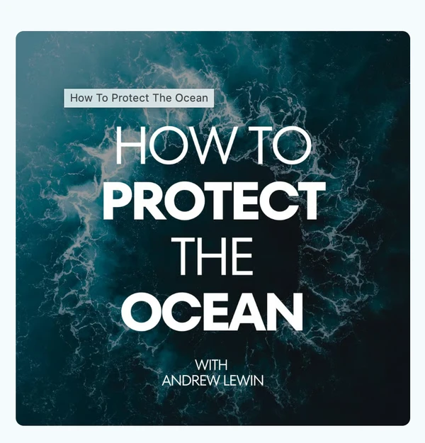 Published by How to Protect the Ocean