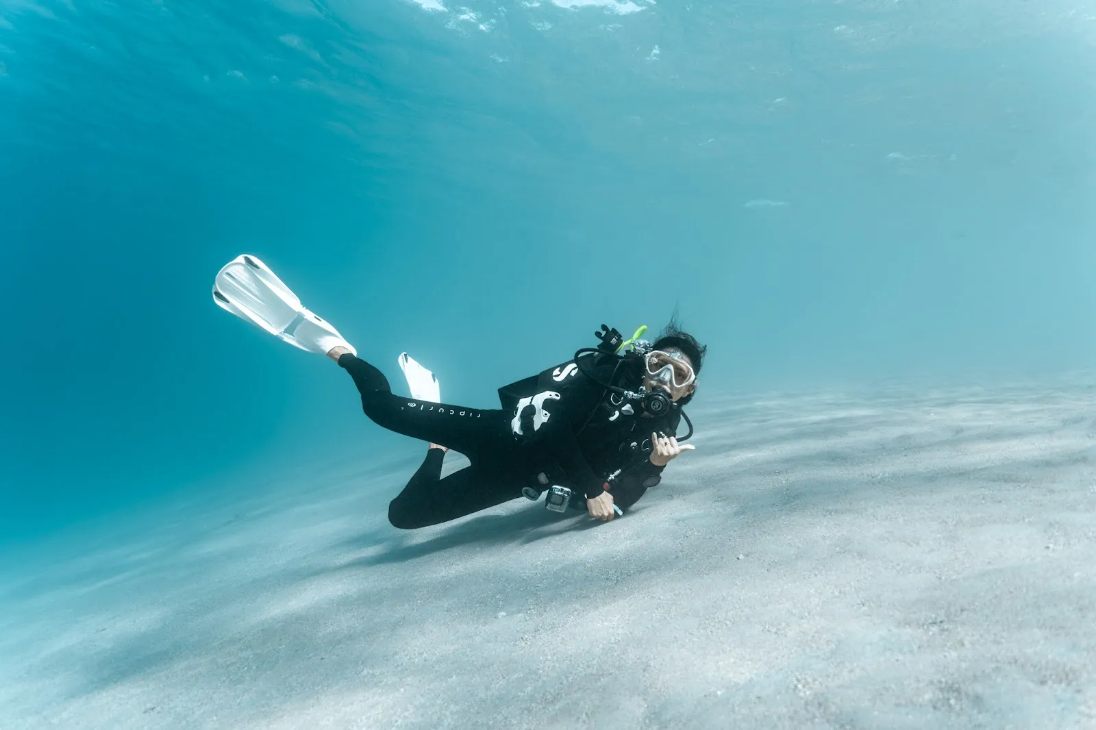The Search for Herding Dugongs