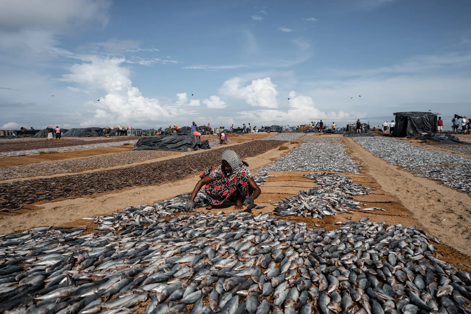 MARESSOL Project: Transforming Fishing Practices in Sri Lanka