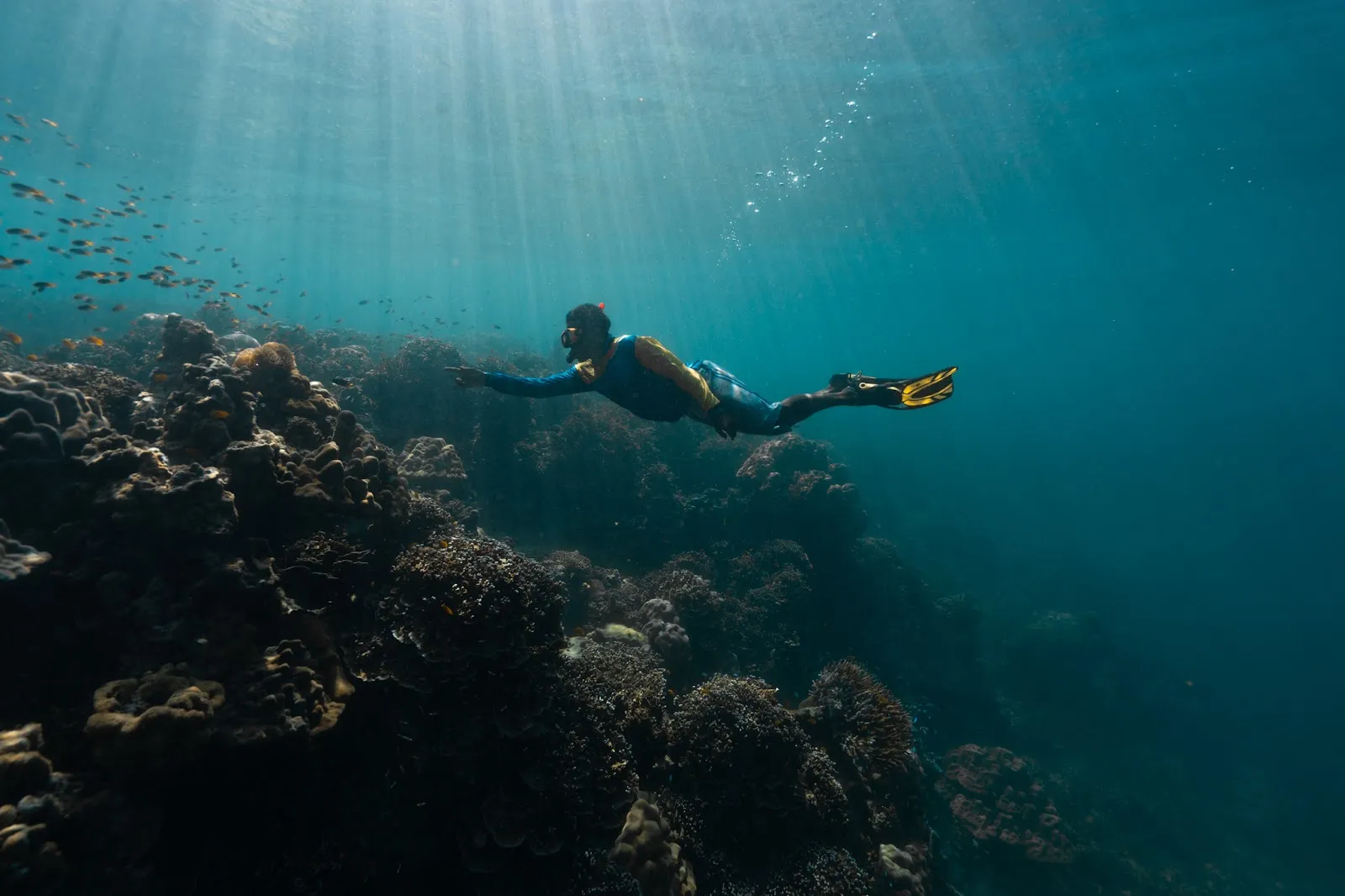 Culture's Survivial on the Surin Islands