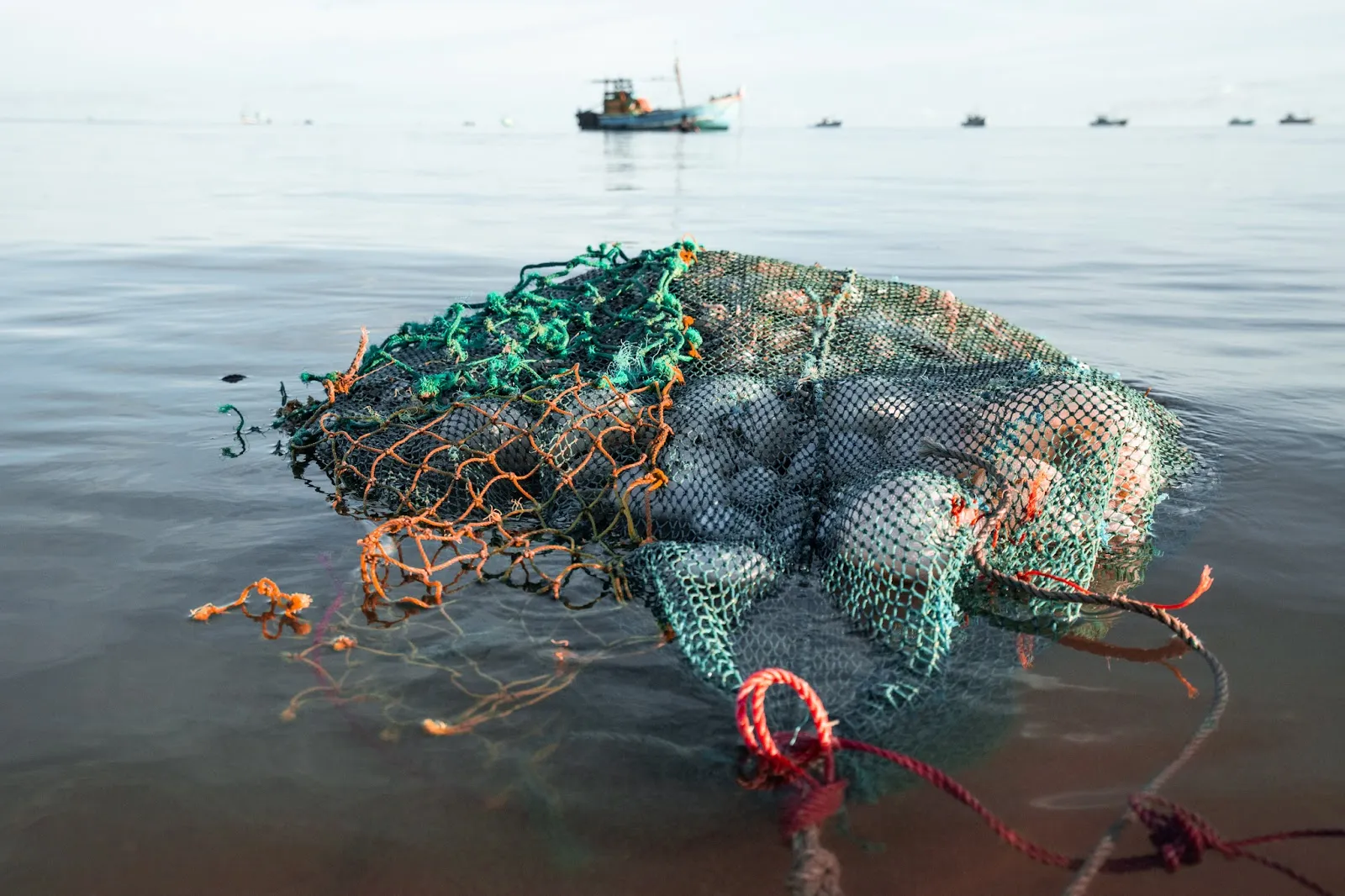 MARESSOL Project: Transforming Fishing Practices in Sri Lanka